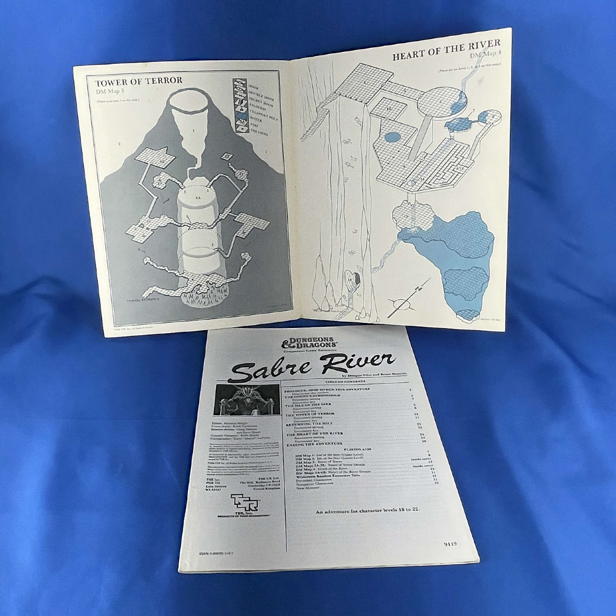 TSR Dungeons & Dragons Module CM3 Sabre River 1984