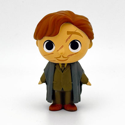 Funko Mystery Minis Harry Potter Remus Lupin Series 2