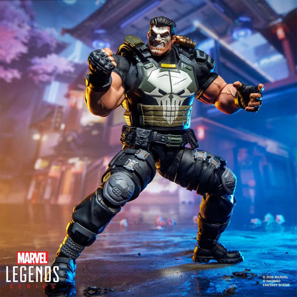 Hasbro Marvel Legends Rivals Series Punisher 6 Inch Action Figure