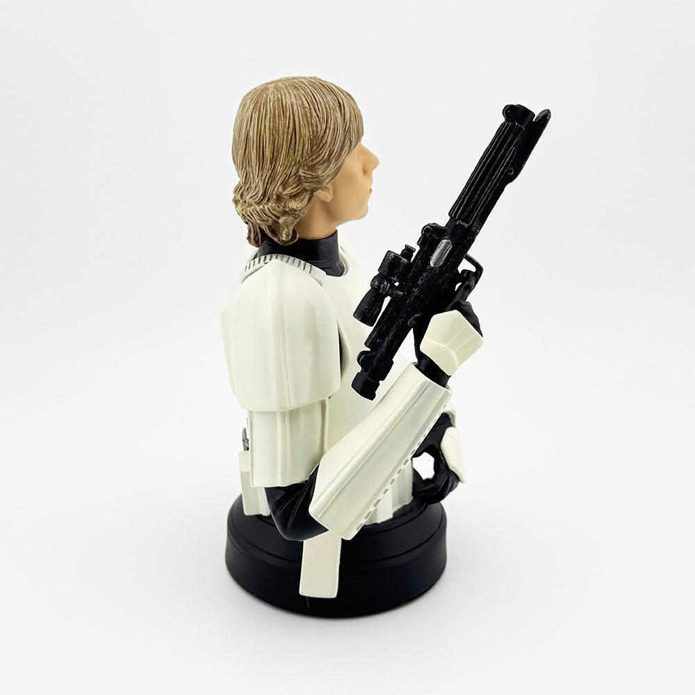 Gentle Giant Star Wars Luke Skywalker Stormtrooper A New Hope Mini Bust Exclusive