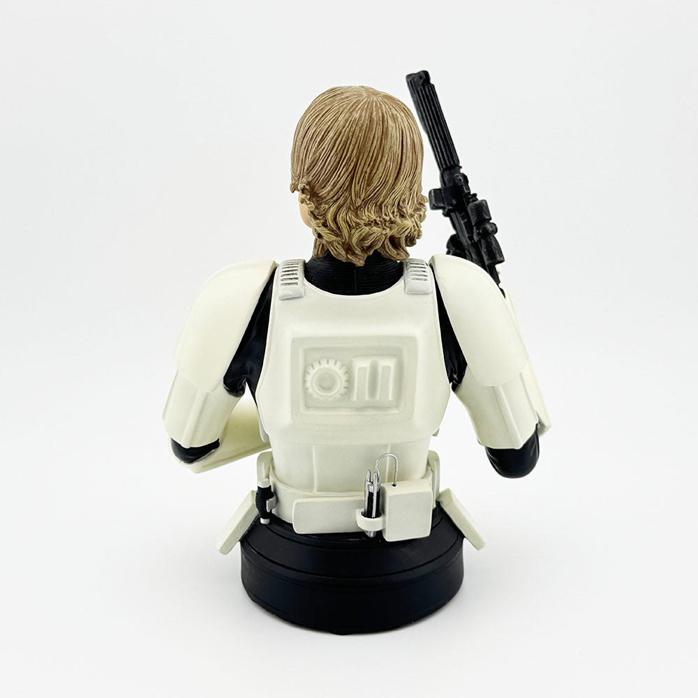 Gentle Giant Star Wars Luke Skywalker Stormtrooper A New Hope Mini Bust Exclusive