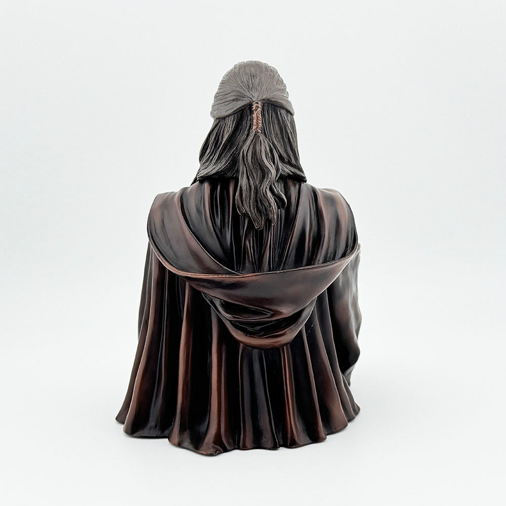 Gentle Giant Star Wars Qui-Gon Jinn Mini Bust